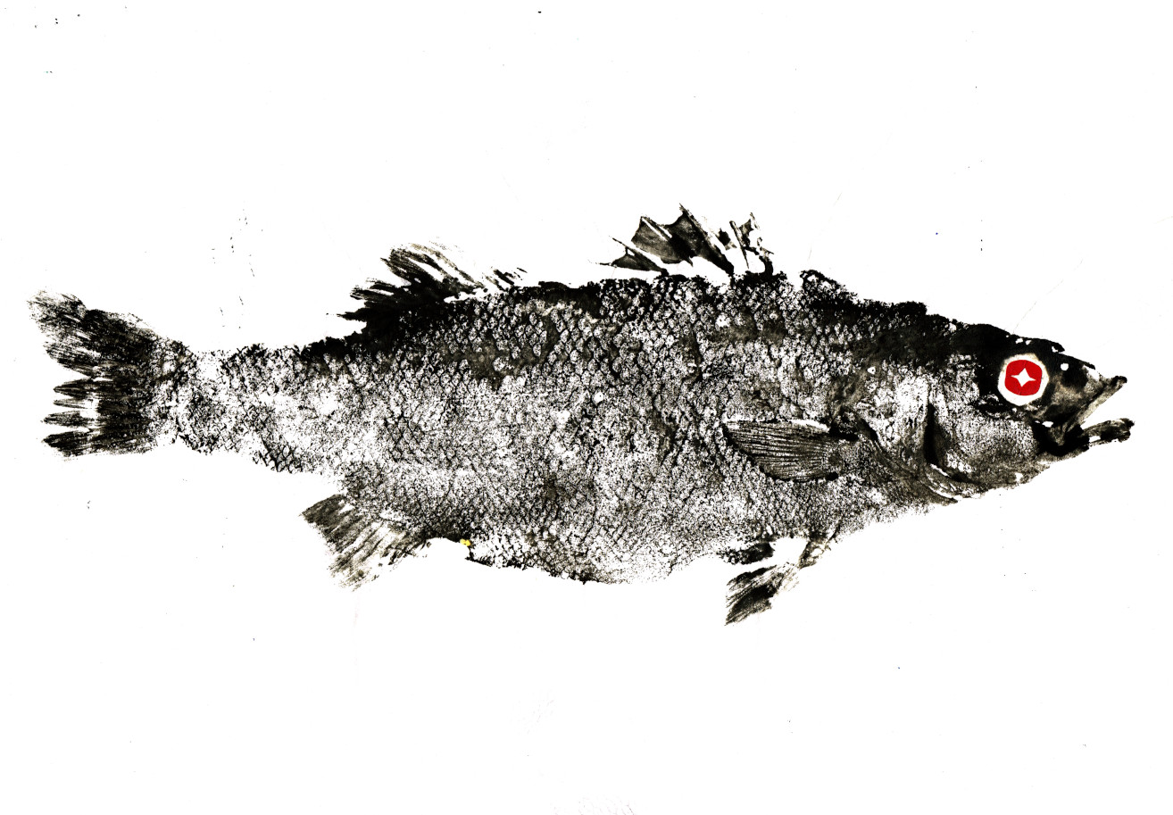Gyotaku, image extraite du spectale, Renaud, le bar et la fève